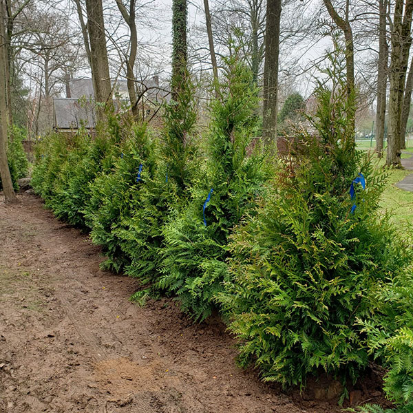 Landscaping-and-Masonry-Services-Union-County Landscaping and Masonry Services Union County